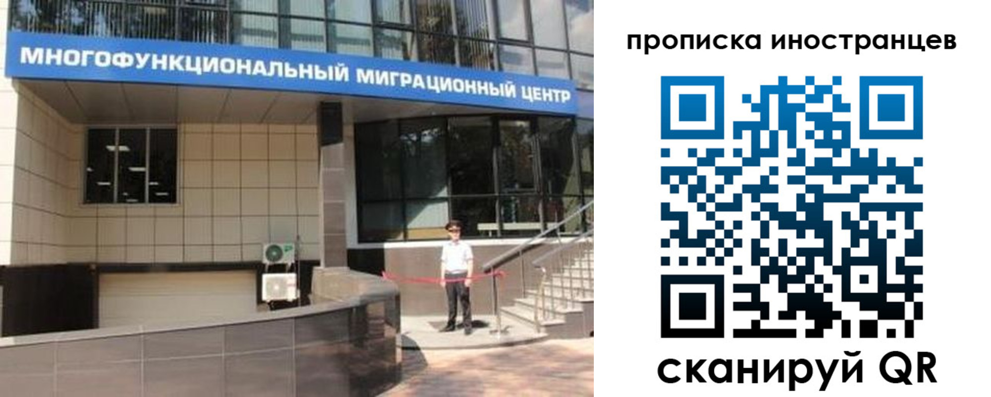 прописка поиск в Зее